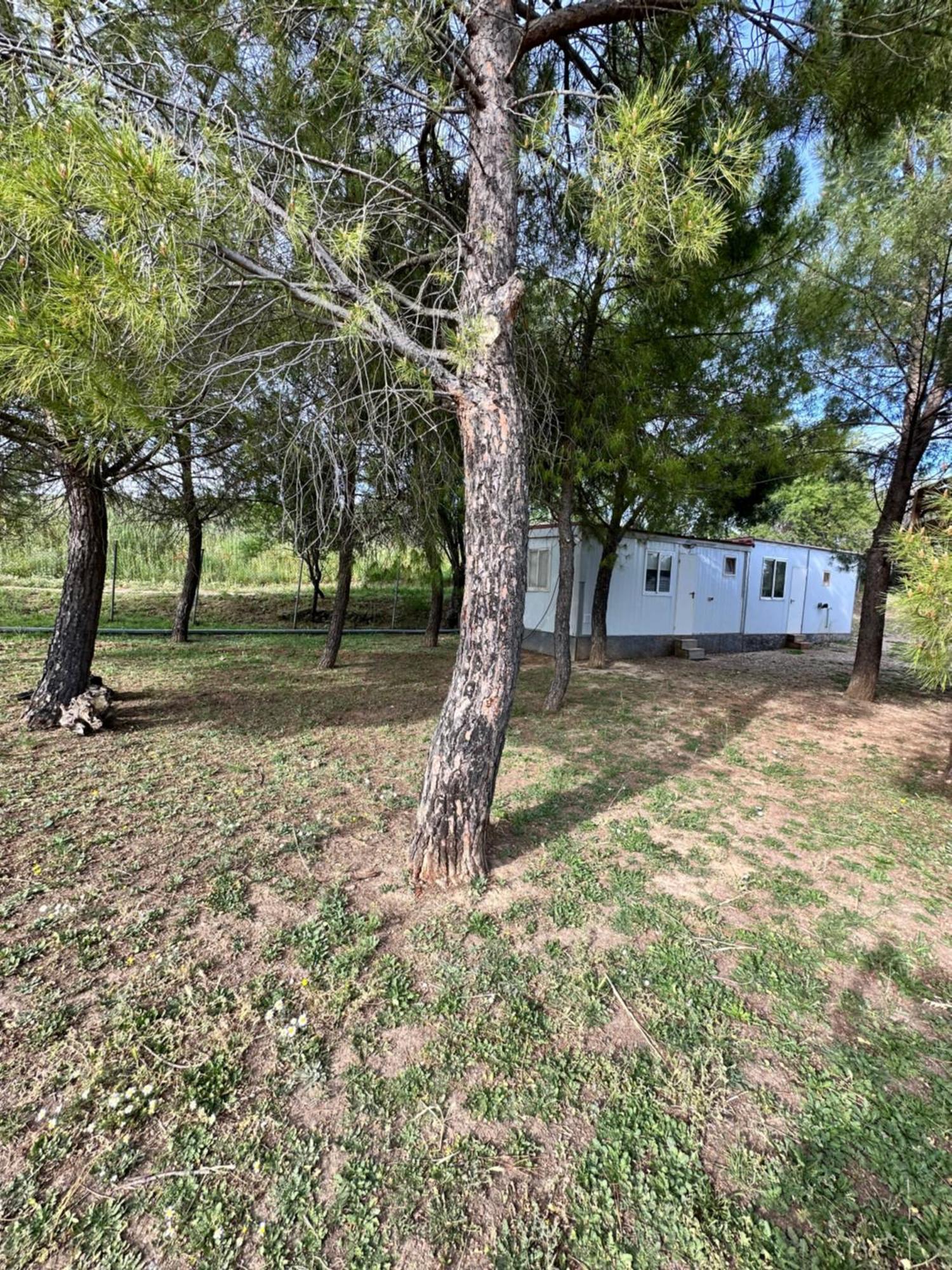 Bungalow Golosina Torrelaguna Exterior photo